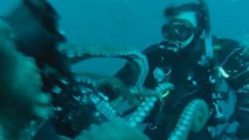 AHTAPOTUN SALDIRI ANI