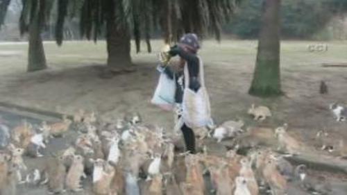 TAVŞANLARIN KRAKER KUŞATMASI