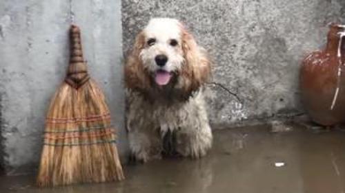 SAĞANAK YAĞMUR SONRASI