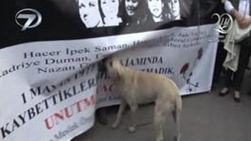 EYLEME KÖPEK ENGELİ