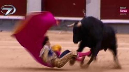 AZGIN BOĞA DEHŞETİ