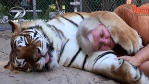 BAHÇESİNDE KAPLAN BESLİYOR!