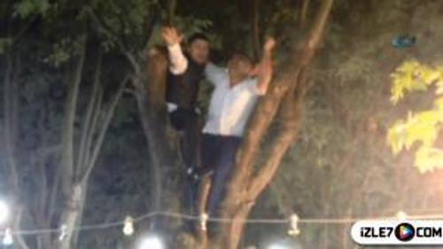 DAMAT VE BABASI HIZINI ALAMAYINCA AĞAÇTA GÖBEK ATTI