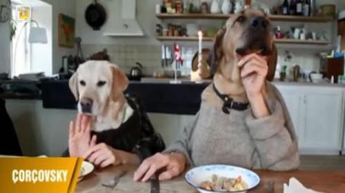 ÇORÇOVSKY - 16 AĞUSTOS 2014