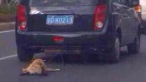 TRAFİKTE KAN DONDURAN MANZARA