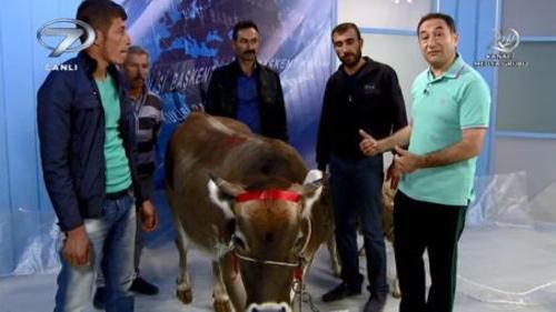 DR. FERİDUN KUNAK SHOWUN CANLI YAYIN KONUKLARI İNEK VE KOYUN OLDU