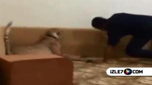 ARKADAŞA YAPILAN EŞEK ŞAKASI