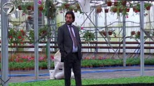 ELİF DİZİSİ - 30. BÖLÜM