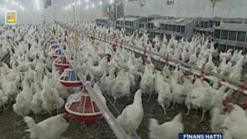 FİNANS HATTI - 7 KASIM 2014