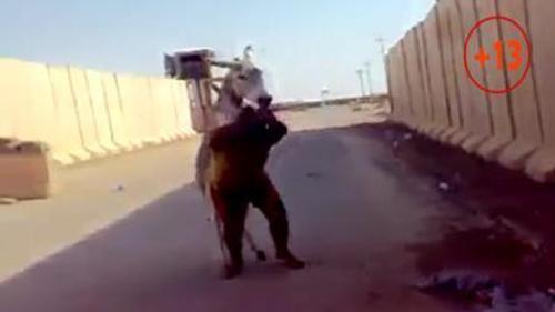 HANGİSİ EŞEK SİZ KARAR VERİN