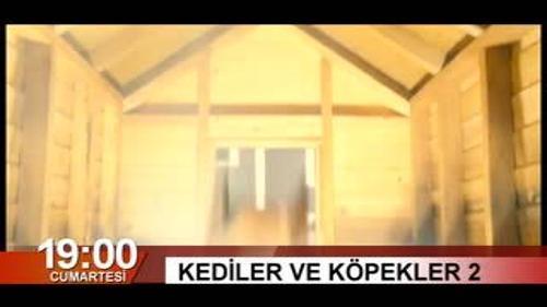 YABANCI SİNEMA 'KEDİLER VE K&Ouml;PEKLER - 2' - FRAGMAN