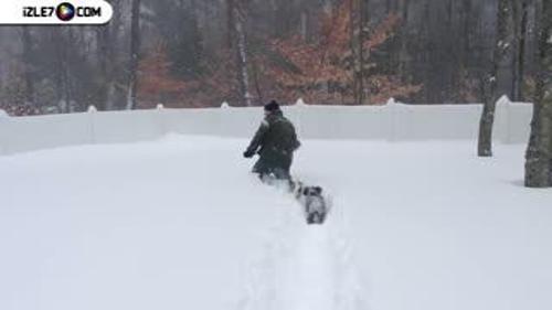 KARDA OYNAYAN KÖPEK YAVRULARI