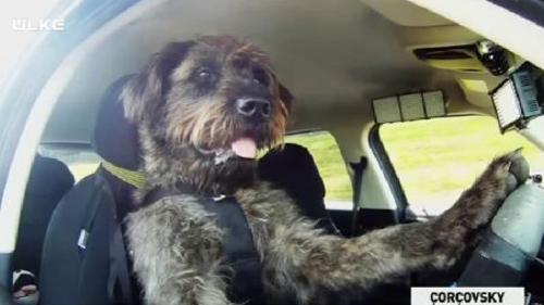 ÇORÇOVSKY - 22 MART 2015