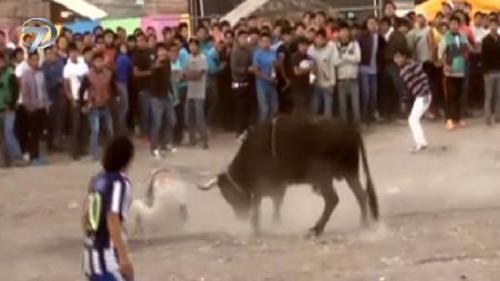 SAHİBİNDEN KURTULAN KIZGIN BOĞA DEHŞET SAÇTI