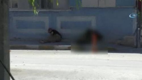 ANA HABER - 4 EYLÜL 2015