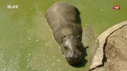 EN İYİSİ GEZMEK - 14 MAYIS 2016