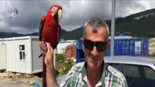 ANA HABER - 6 TEMMUZ 2016