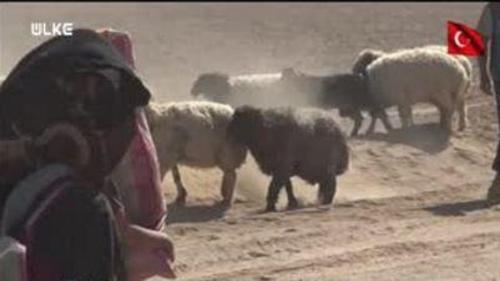 DÜNYANIN GÜNDEMİ - 25 EKİM 2016 