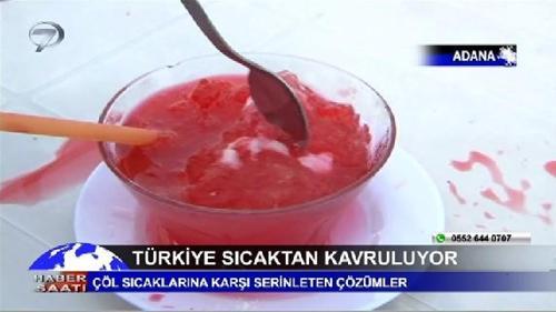 Haber Saati - 29 Haziran 2017