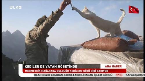 Ülke Ana Haber - 20 Ağustos 2017