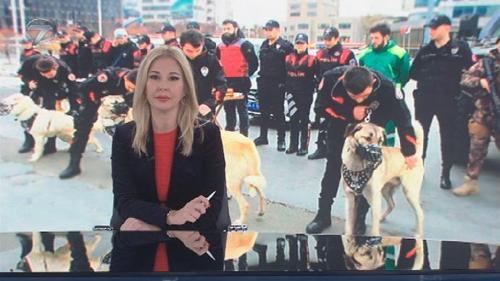 Hafta Sonu Haberleri | 31 Aralık 2017