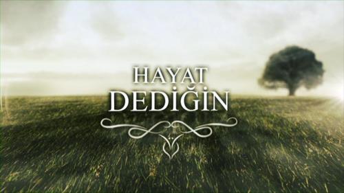 Hayat Dediğin 