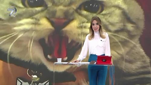 Kanal 7'de Sabah - 15 Ekim 2018
