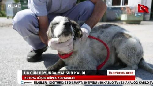 Ülke'de Bu Gece - 4 Ekim 2018