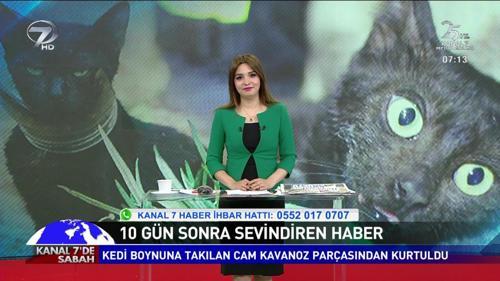 Kanal 7'de Sabah - 2 Ağustos 2019