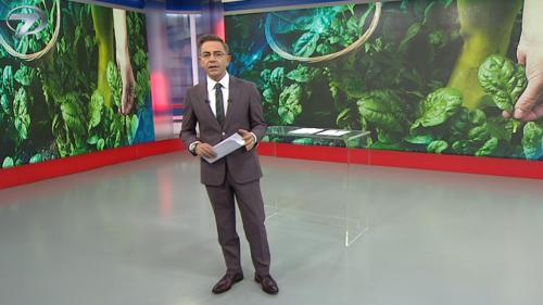 Haber Saati - 5 Kasım 2019