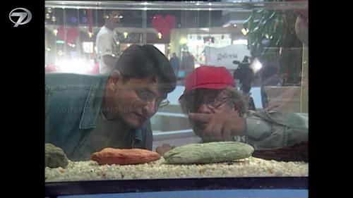 Şakacı 53. Bölüm