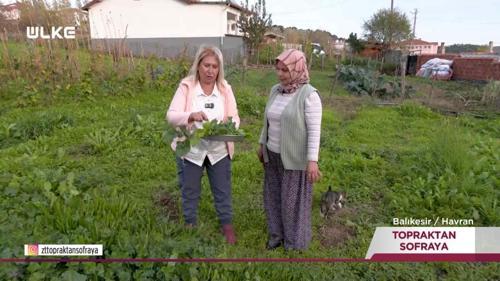 Topraktan Sofraya -  Balıkesir | 21 Aralık 2025