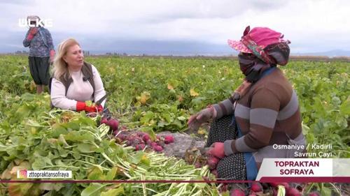 Topraktan Sofraya - Osmaniye - Kastamonu | 8 Şubat 2026