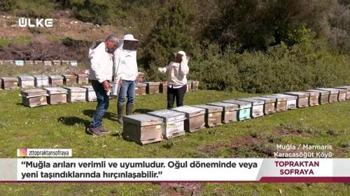 Topraktan Sofraya - Muğla | 29 Mart 2026