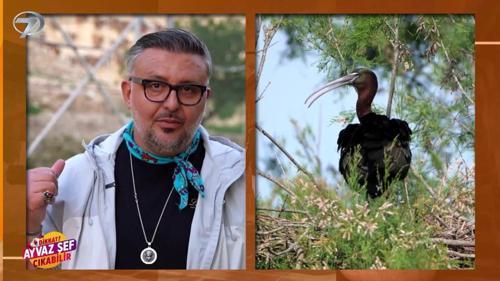 Dikkat Ayvaz Şef &Ccedil;ıkabilir - Birecik - Kolaj | 24 Nisan 2026