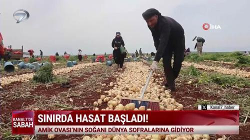 Kanal 7'de Sabah (Kanal 7 &Uuml;lke Tv Ortak Yayını) - 19 Nisan 2026