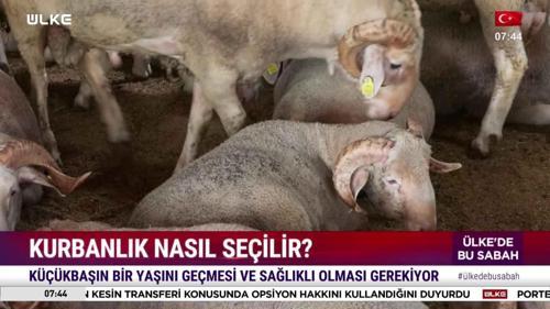 &Uuml;lke'de Bu Sabah - 21 Mayıs 2026