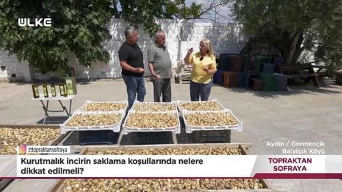 Topraktan Sofraya - Aydın | 11 Ekim 2026