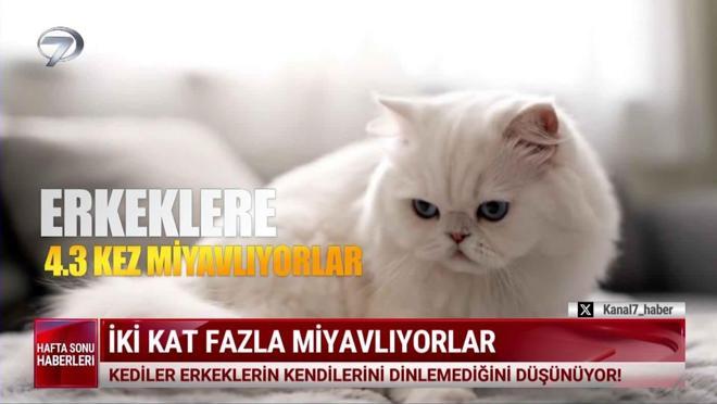  Kanal 7 Hafta Sonu Haberleri - 7 Aralık 2025