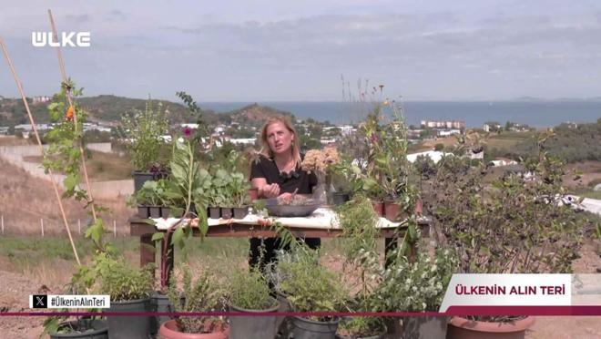 &Uuml;lkenin Alın Teri | 20 Aralık 2025