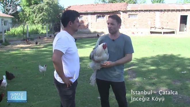 G&uuml;nd&uuml;z Gece &ndash; Kolaj | 13 Aralık 2025