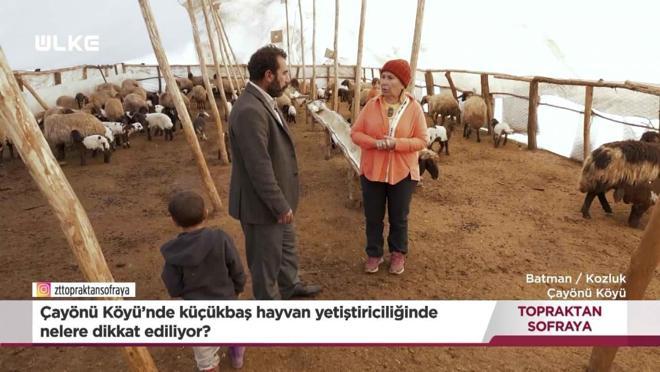 Topraktan Sofraya - Batman | 15 Şubat 2026