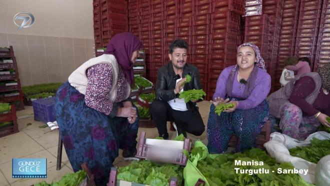 G&uuml;nd&uuml;z Gece &ndash; Manisa - Turgutlu | 4 Temmuz 2026