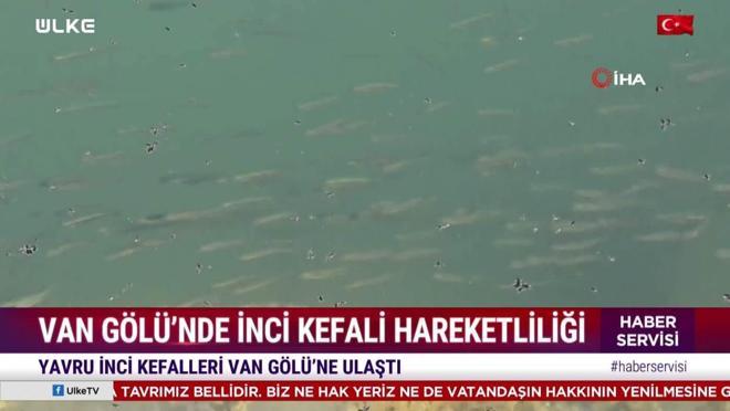 Haber Servisi - 28 Eyl&uuml;l 2026